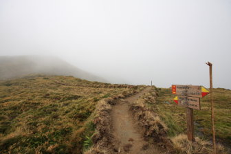 Path to the Pico